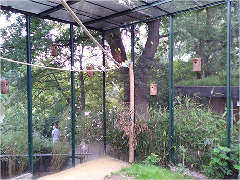 Wellensittiche Voliere in Aachener Tierpark